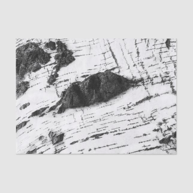 Birch bark pattern tissue paper (Front)