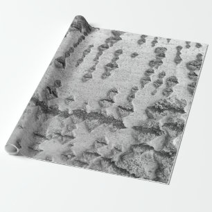 Birch bark pattern wrapping paper