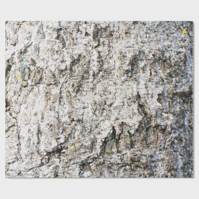 Birch bark pattern wrapping paper (Flat)