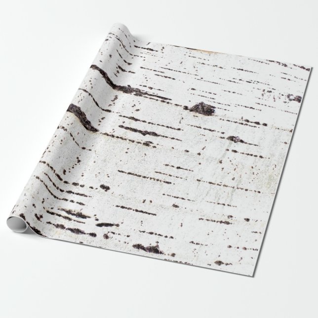 Birch bark pattern wrapping paper (Unrolled)