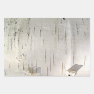 Birch bark pattern wrapping paper sheet