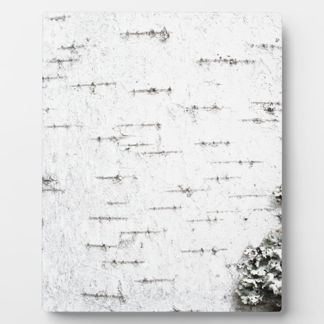 Birch bark plaque (Front)