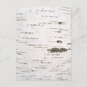 Birch bark postcard