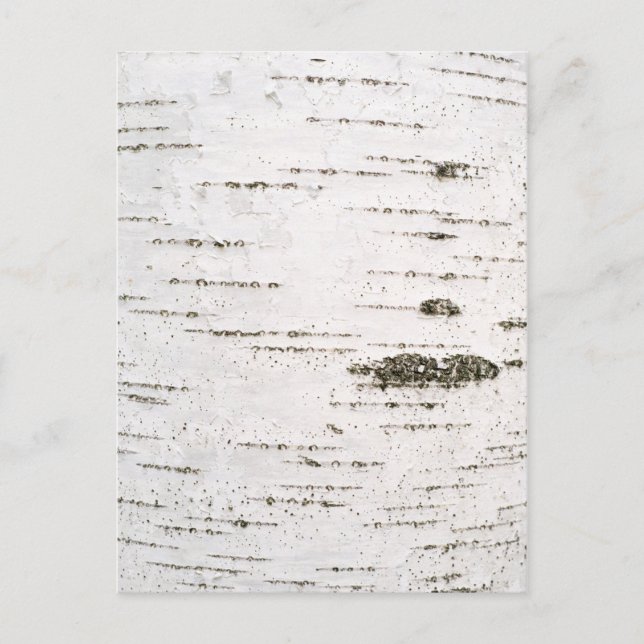 Birch bark postcard (Front)