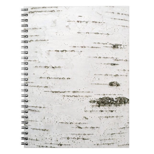 Birch bark spiral notebook (Front)