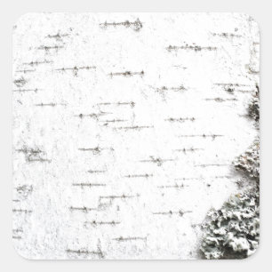 Birch bark square sticker