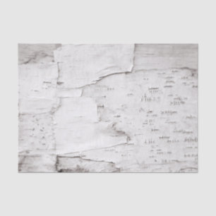 Birch Bark Tree White Rustic Country Woodland Tissue Paper