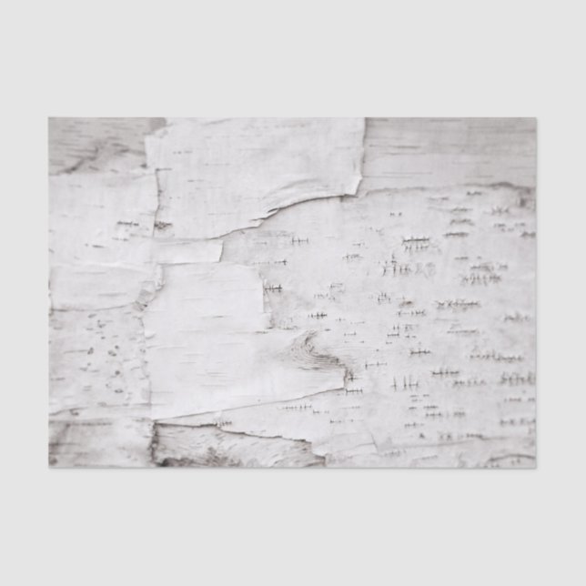 Birch Bark Tree White Rustic Country Woodland Tissue Paper (Front)