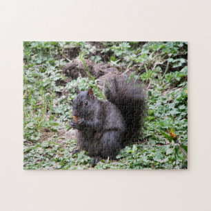 Birch Bay Squirrel Jigsaw Puzzle
