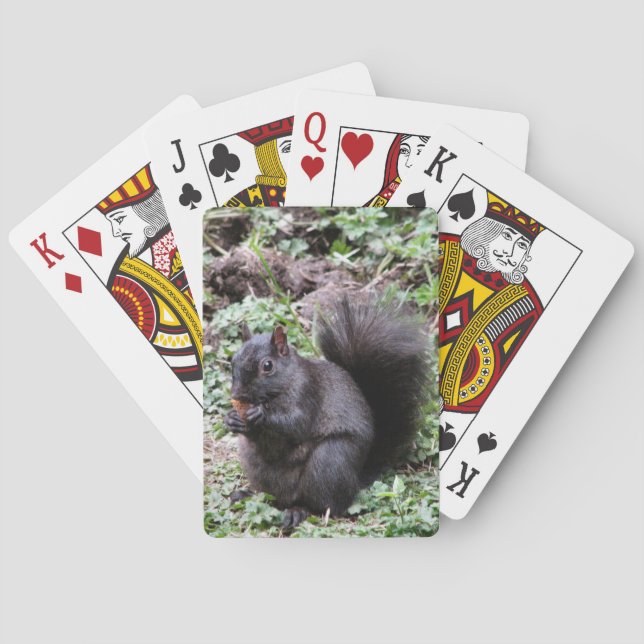 BIRCH BAY SQUIRREL PLAYING CARDS (Back)