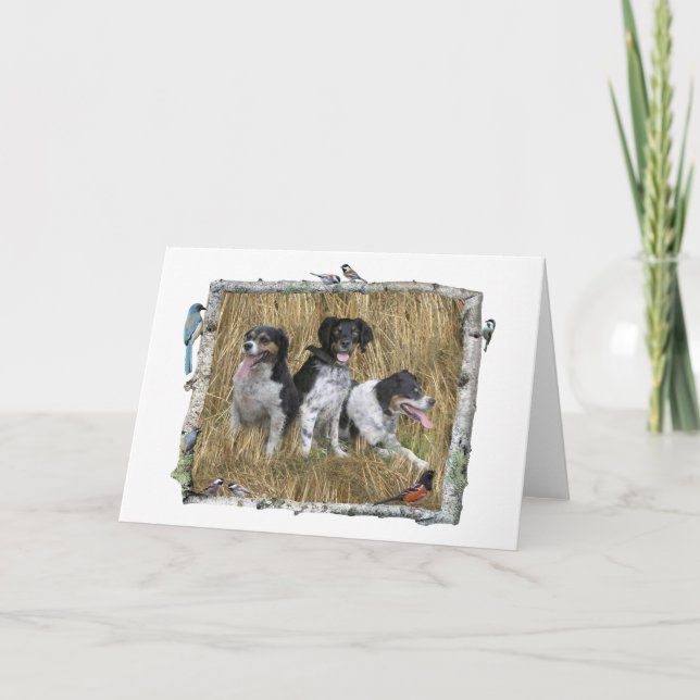 Birch Birds Horizontal Photo Card (Front)