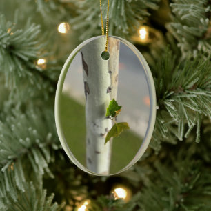 Birch by roadside ceramic tree decoration