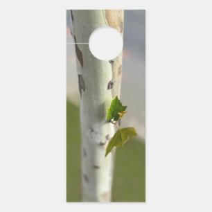 Birch by roadside door hanger