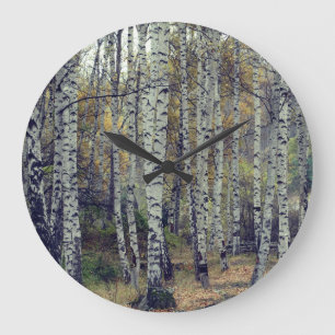 Birch Forrest Autumn Photo Round  Wall Clock