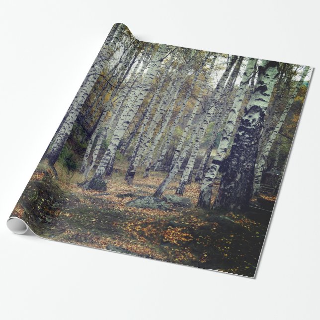 Birch Forrest Glossy Wrapping Paper, 30 in x 6 ft Wrapping Paper (Unrolled)