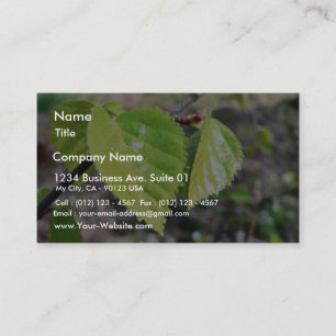 Birch Leaves Green Leaves Business Card