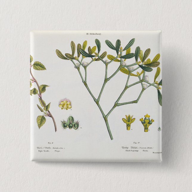 Birch (left) and Mistletoe (right), fig. 9 and 10 15 Cm Square Badge (Front)