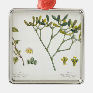 Birch (left) and Mistletoe (right), fig. 9 and 10 Metal Tree Decoration