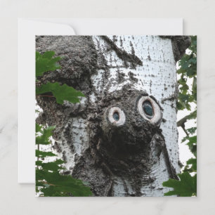 Birch Soul Tree Magic Face Photography Invitation