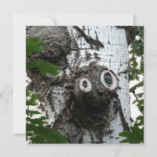 Birch Soul Tree Magic Face Photography Invitation
