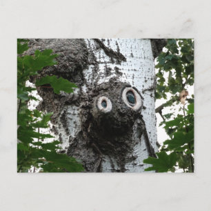 Birch Soul Tree Magic Face Photography Postcard