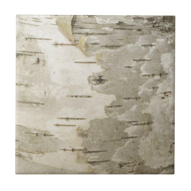 Birch Tile (Front)