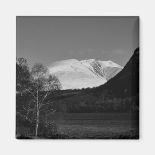 Birch tree and Blencathra Magnet