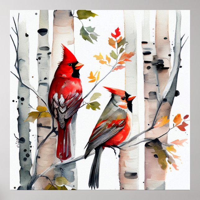 Birch Tree and Cardinals Poster (Front)