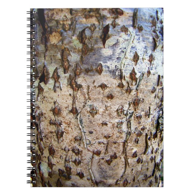 Birch Tree Bark Photo Notebook (Front)