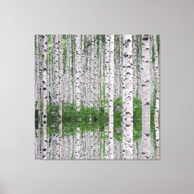 Birch Tree Forest Nature Canvas Wall Art (Front)