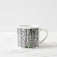 Birch Tree Forest Nature