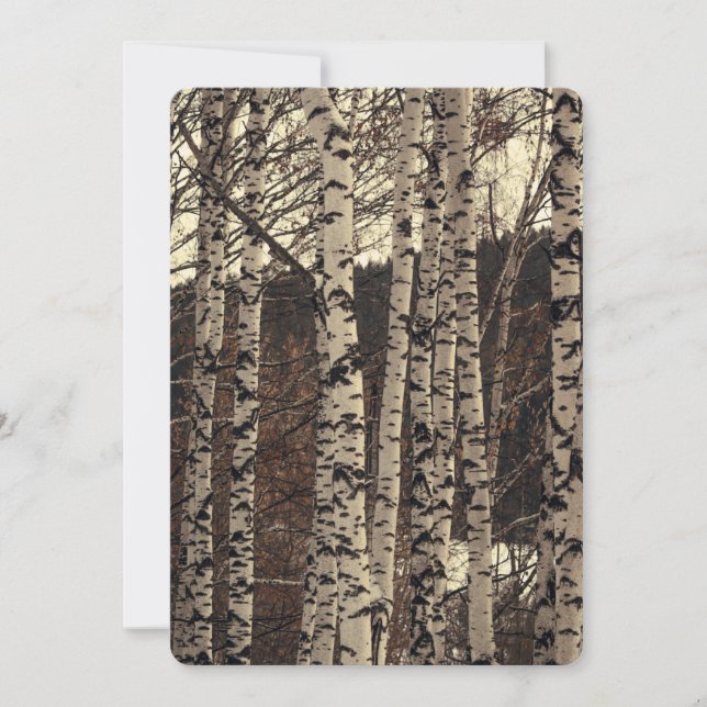 Birch Tree Forest Nature Invitation (Front)