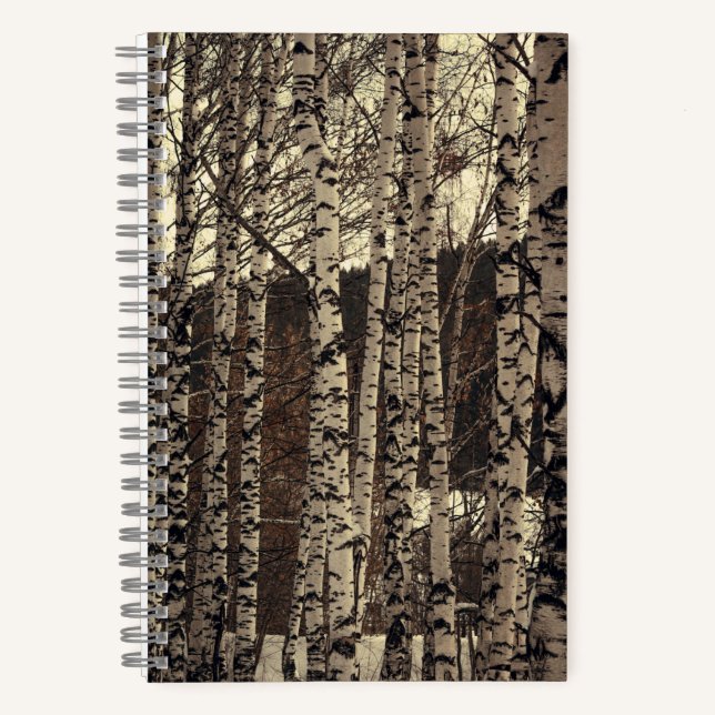 Birch Tree Forest Nature Notebook (Front)