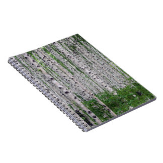 Birch Tree Forest Nature Notebook