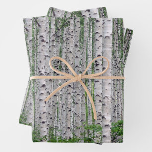 Birch Tree Forest Nature Wrapping Paper Sheet