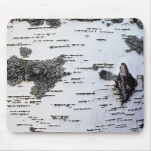 Birch tree in forest, detail, with moss mouse pad