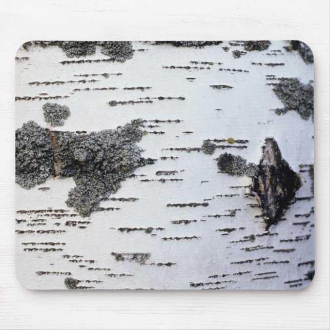 Birch tree in forest, detail, with moss mouse pad (Front)