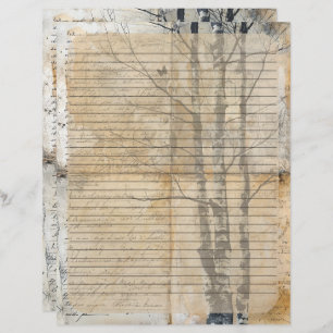 Birch Tree Old Manuscript Custom Letterhead