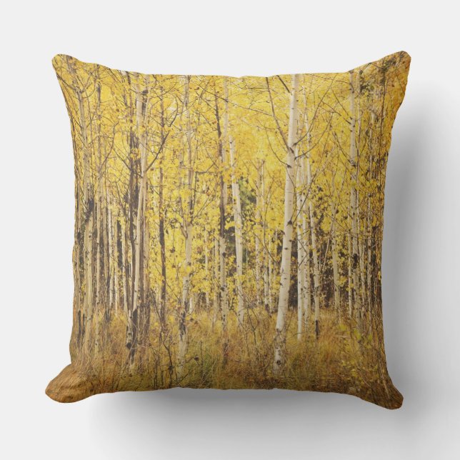 Birch Tree Pillow - yellow, brown gold, white (Front)