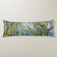 Birch tree - Spring is in the air
