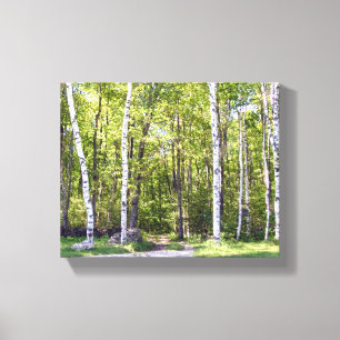 Birch Tree Woods Wrapped Canvas