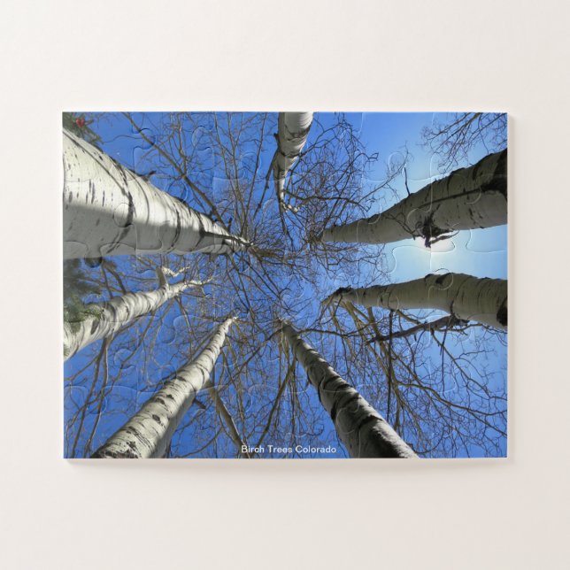 Birch Trees Colorado Jigsaw Puzzle (Horizontal)