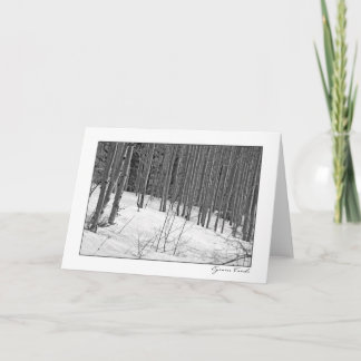 Birch Trees in Snow-Black & White Card