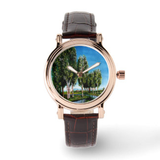 BIRCH TREES IN TUSCANY LANDSCAPE WATCH
