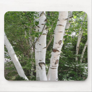 Birch Trees Mousepad