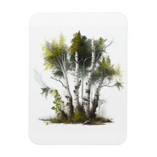 Birch Trees, The Birches Northern Ireland Magnet