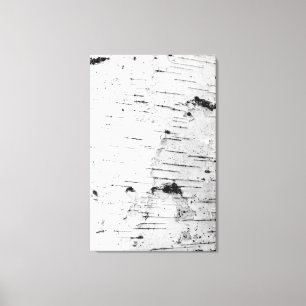 Birch trunk canvas print