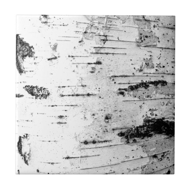 Birch trunk tile (Front)