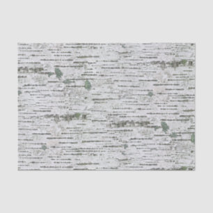 Birch Wood Texture Tissue Paper