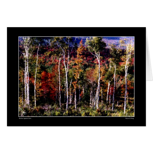 Birches Against Colour Card (Front Horizontal)